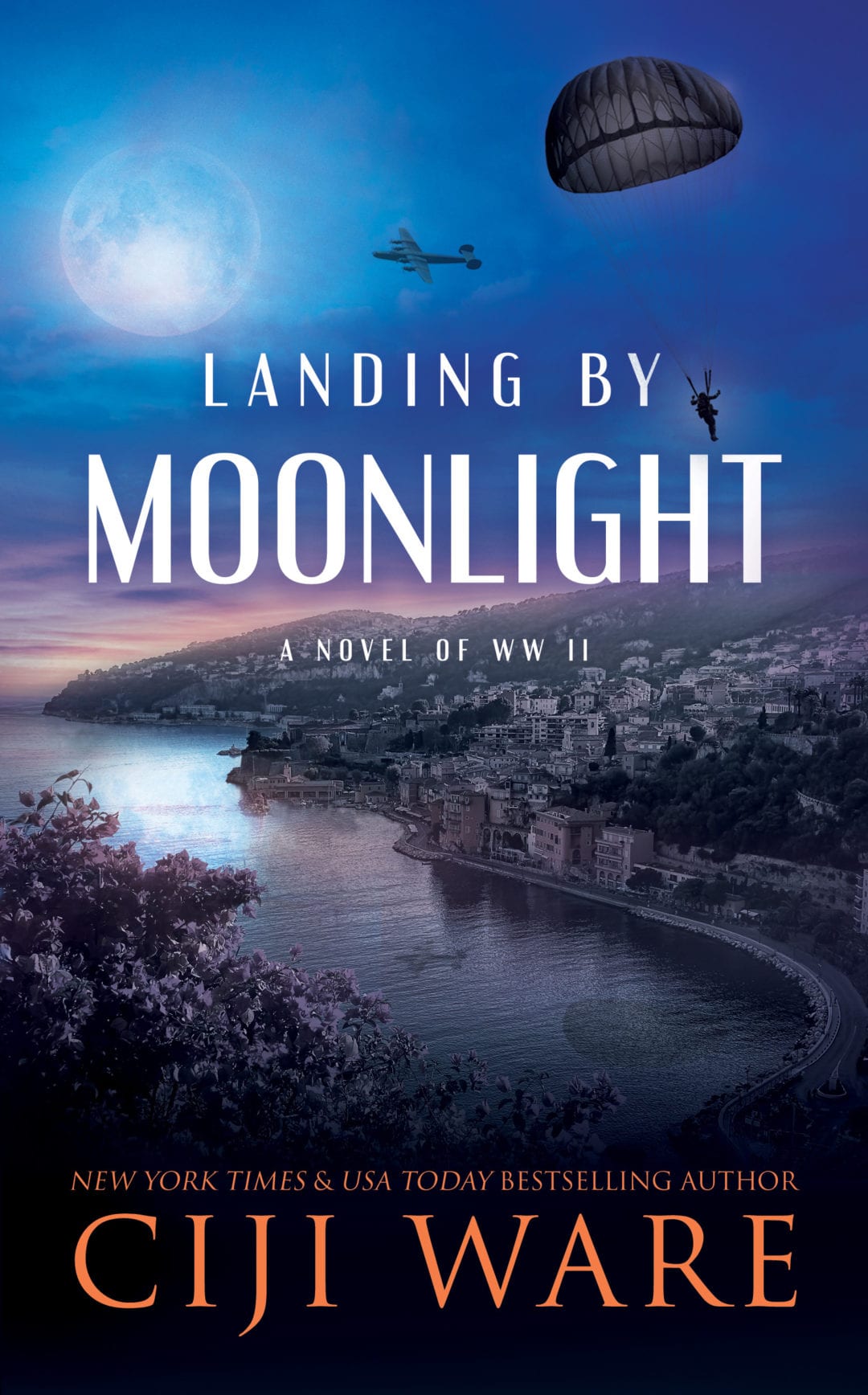 Landing by Moonlight by Ciji Ware